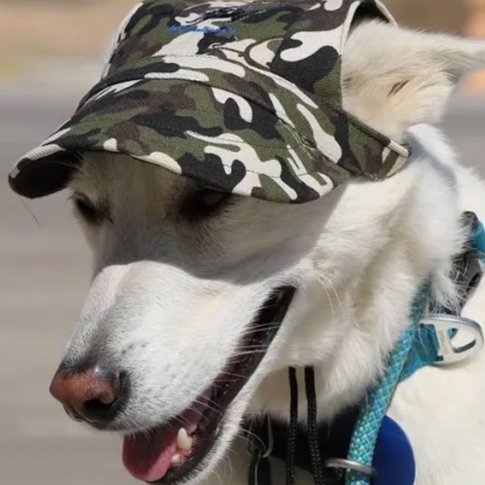 Camouflage Dog Hat